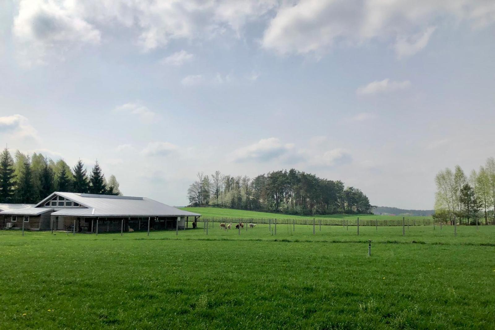 Alpakarium, Hodowla Alpak & Pensjonat Stara Kornica Exteriör bild