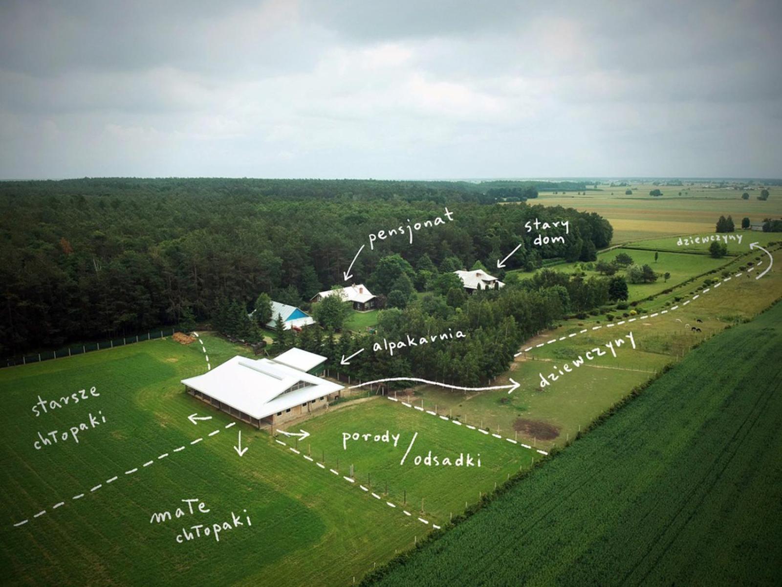 Alpakarium, Hodowla Alpak & Pensjonat Stara Kornica Exteriör bild